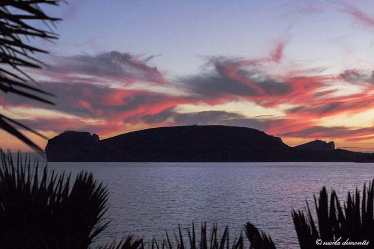 Alghero_Capo_Caccia 2